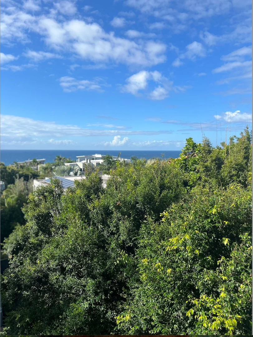 Additional image 2 of 1/59 Elanda Street, Sunshine Beach QLD 4567