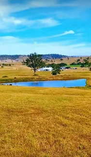 Additional image 14 of 610 Sandy Creek Road, Muswellbrook NSW 2333