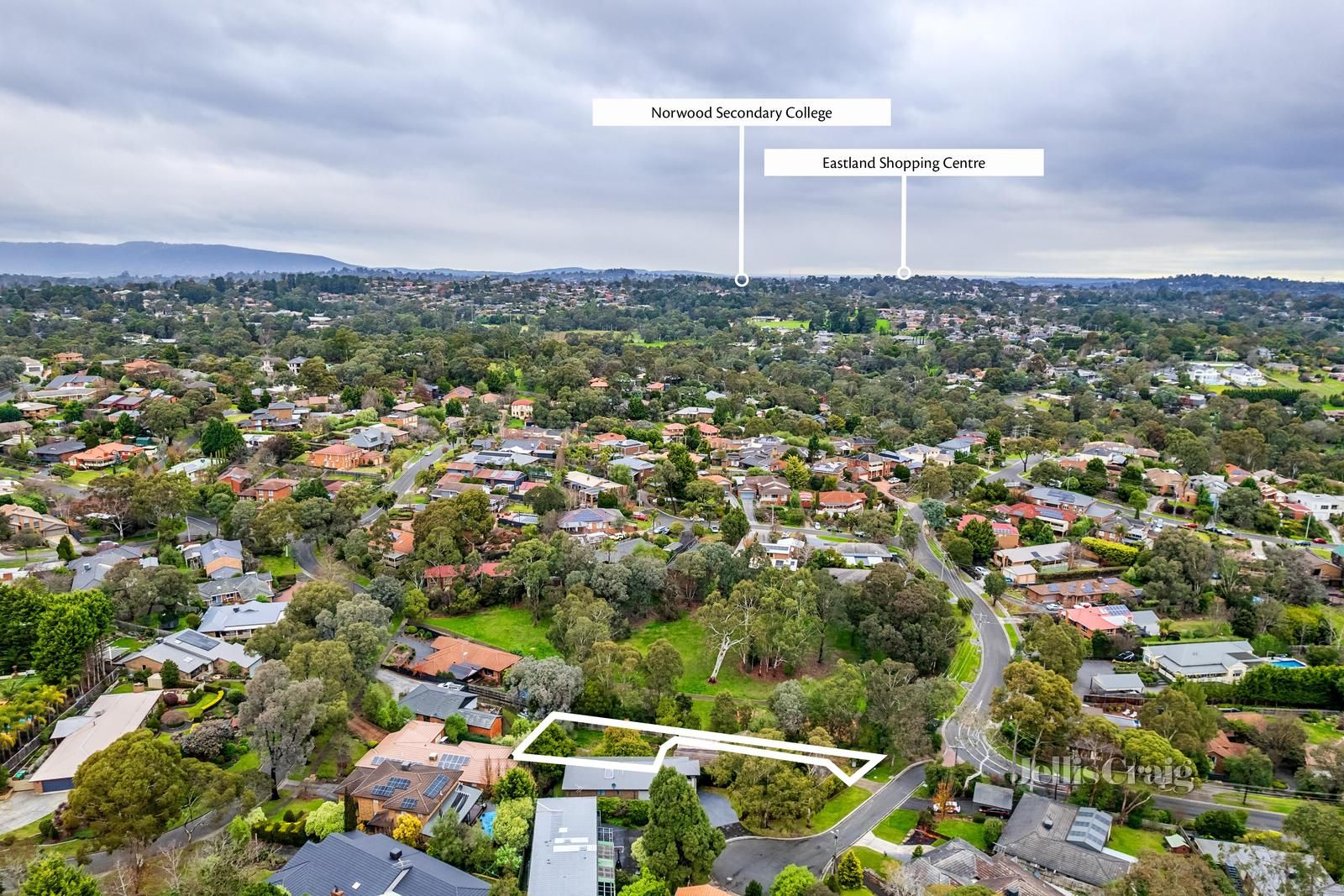 7 Tulip Court, Warranwood VIC 3134, Image 2