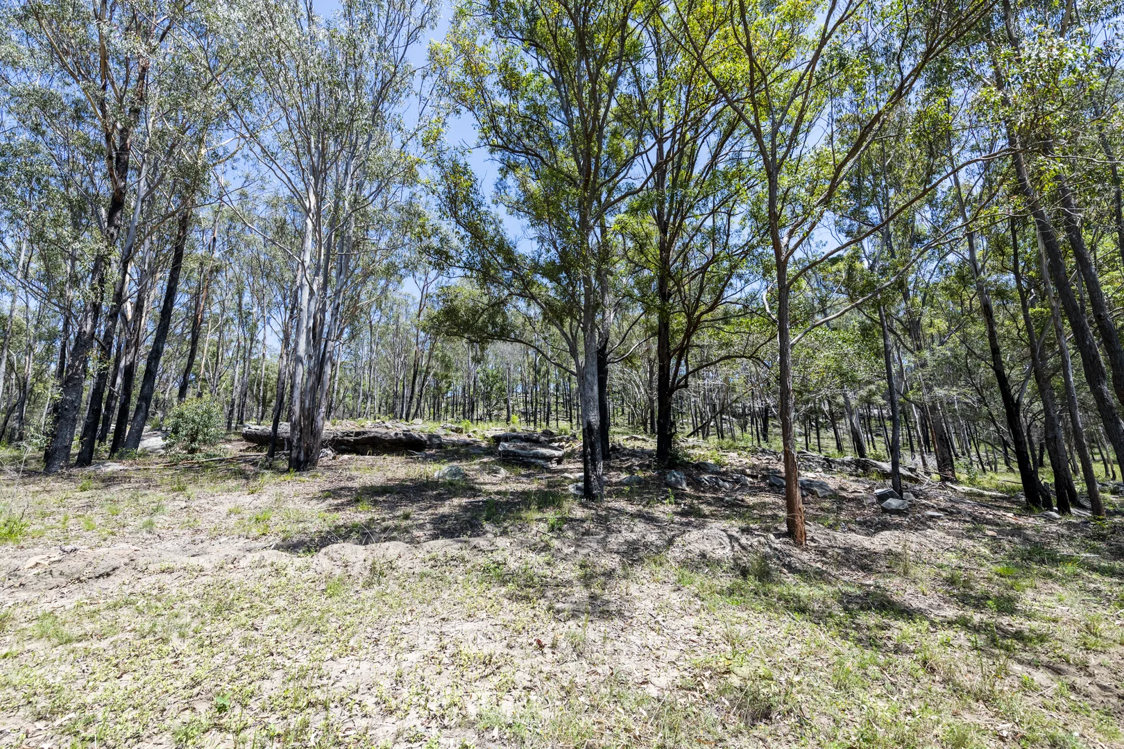 Additional image 40 of 2324 Armidale Road, Blaxlands Creek NSW 2460