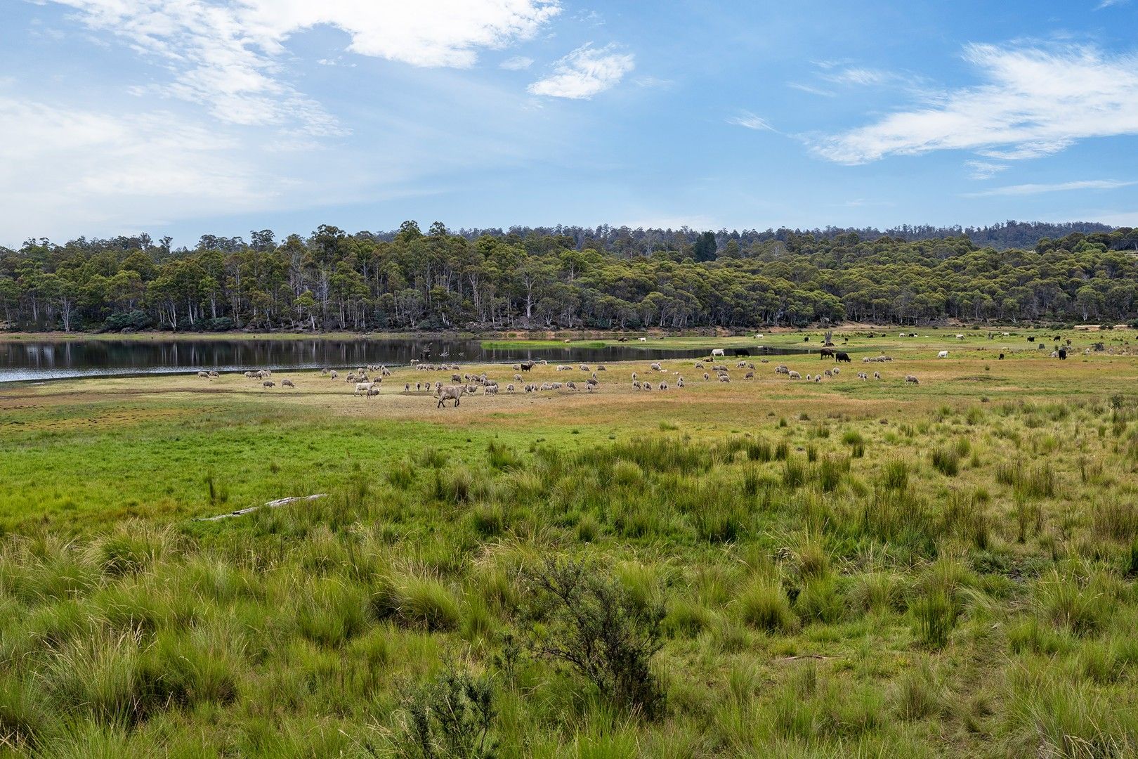 "Pine Tier" Gowan Brae Road, Bronte Park TAS 7140, Image 1