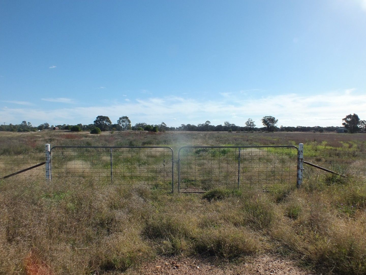 51 Connors Lane West Wyalong, West Wyalong NSW 2671, Image 0