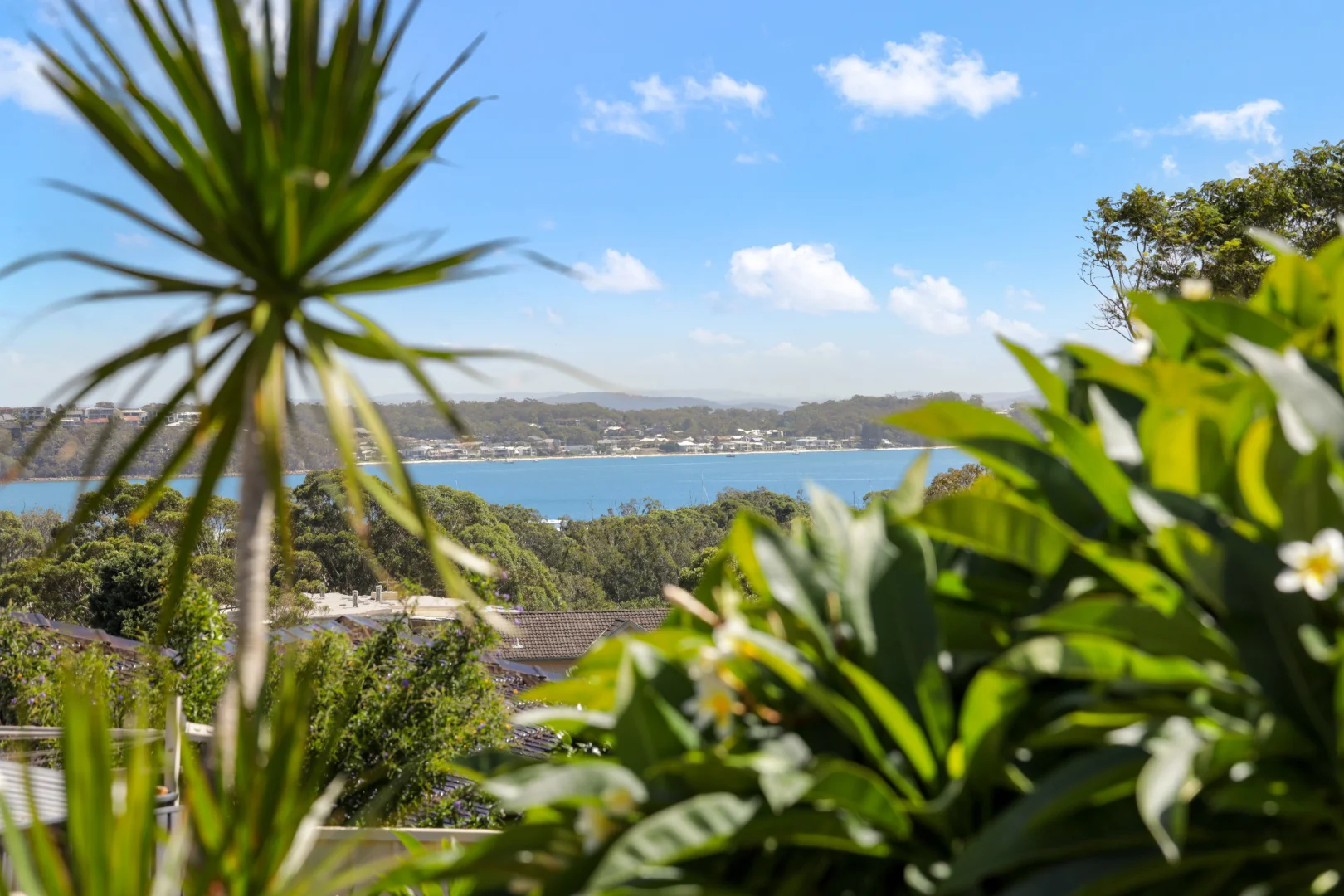 Additional image 15 of 9 Snapper Close, Corlette NSW 2315