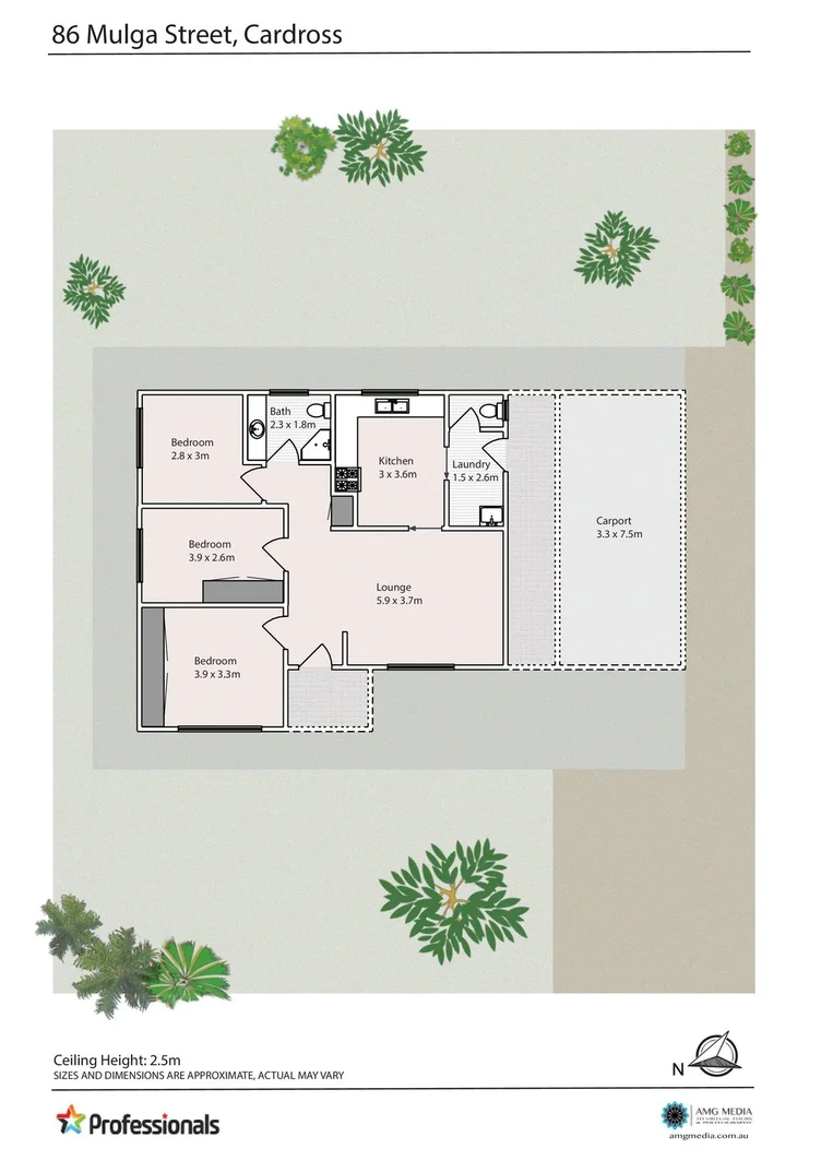 Image 10