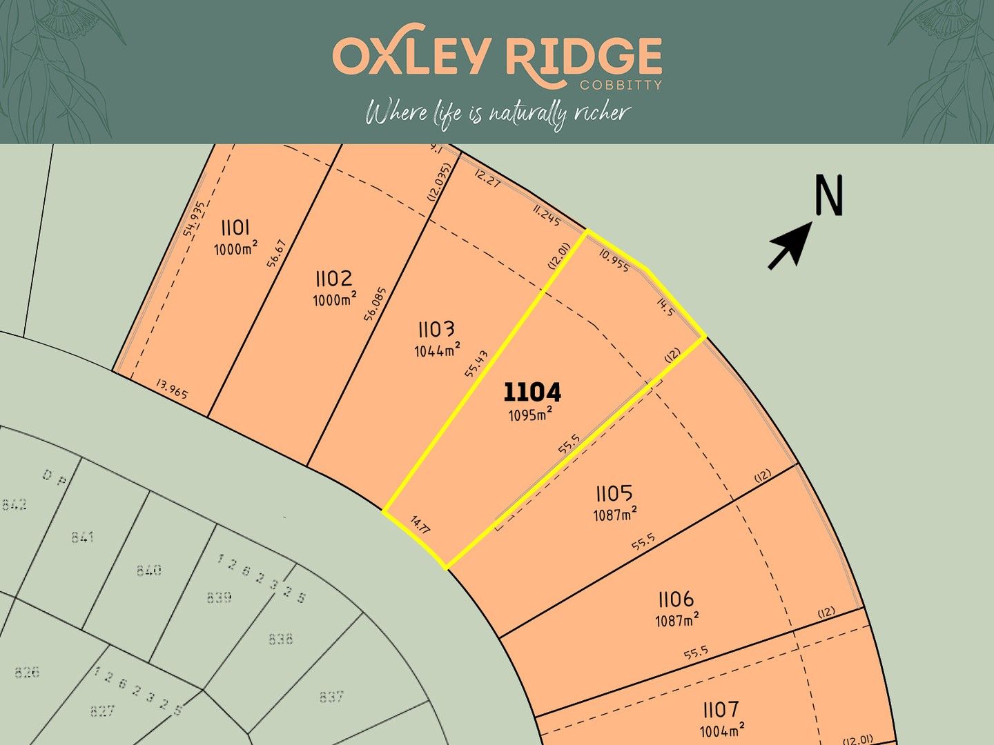 New land in Lot 1104 Wainwright Drive, COBBITTY NSW, 2570