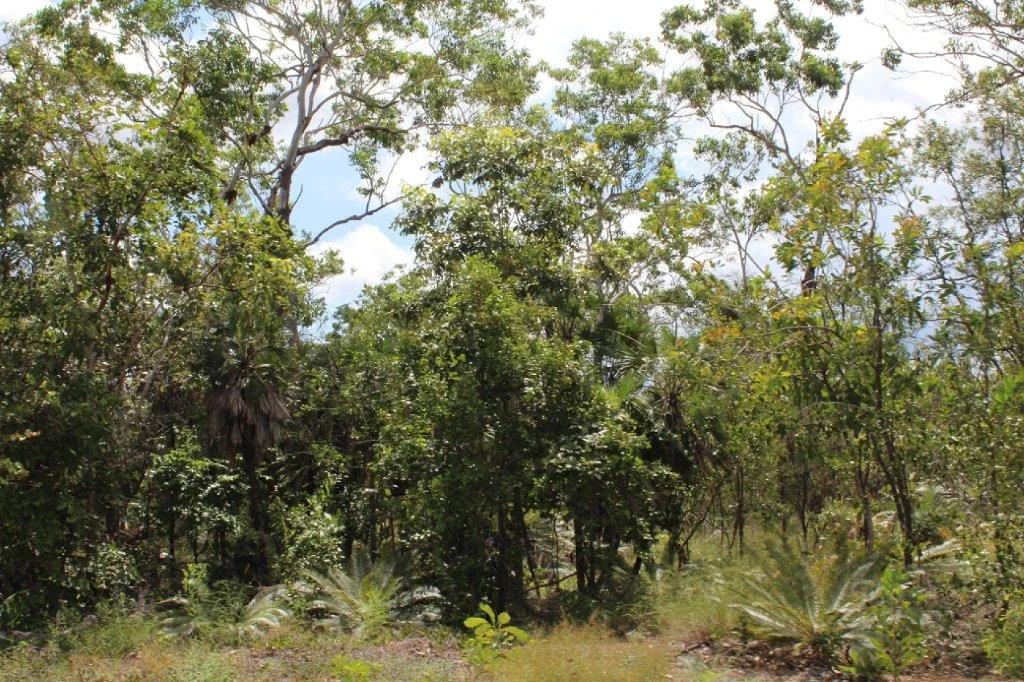 Additional image 13 of 155 Serrata Road, Dundee Downs NT 0840