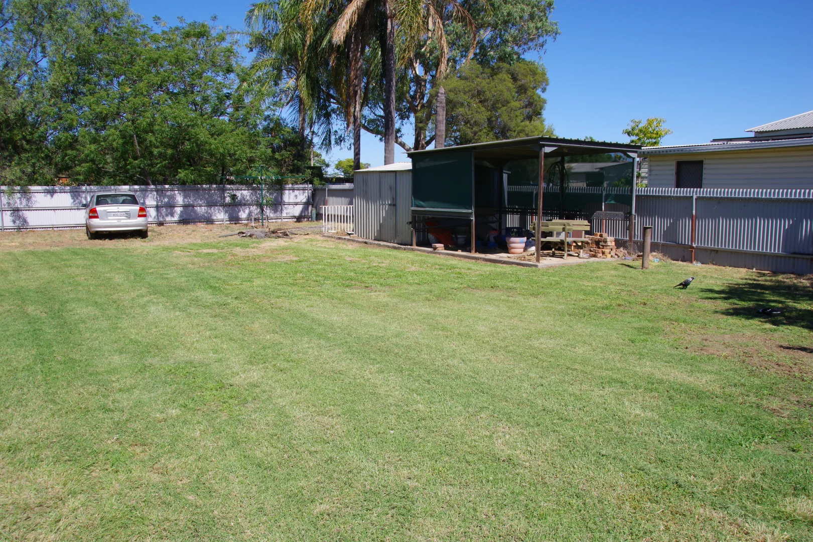 Image 31
