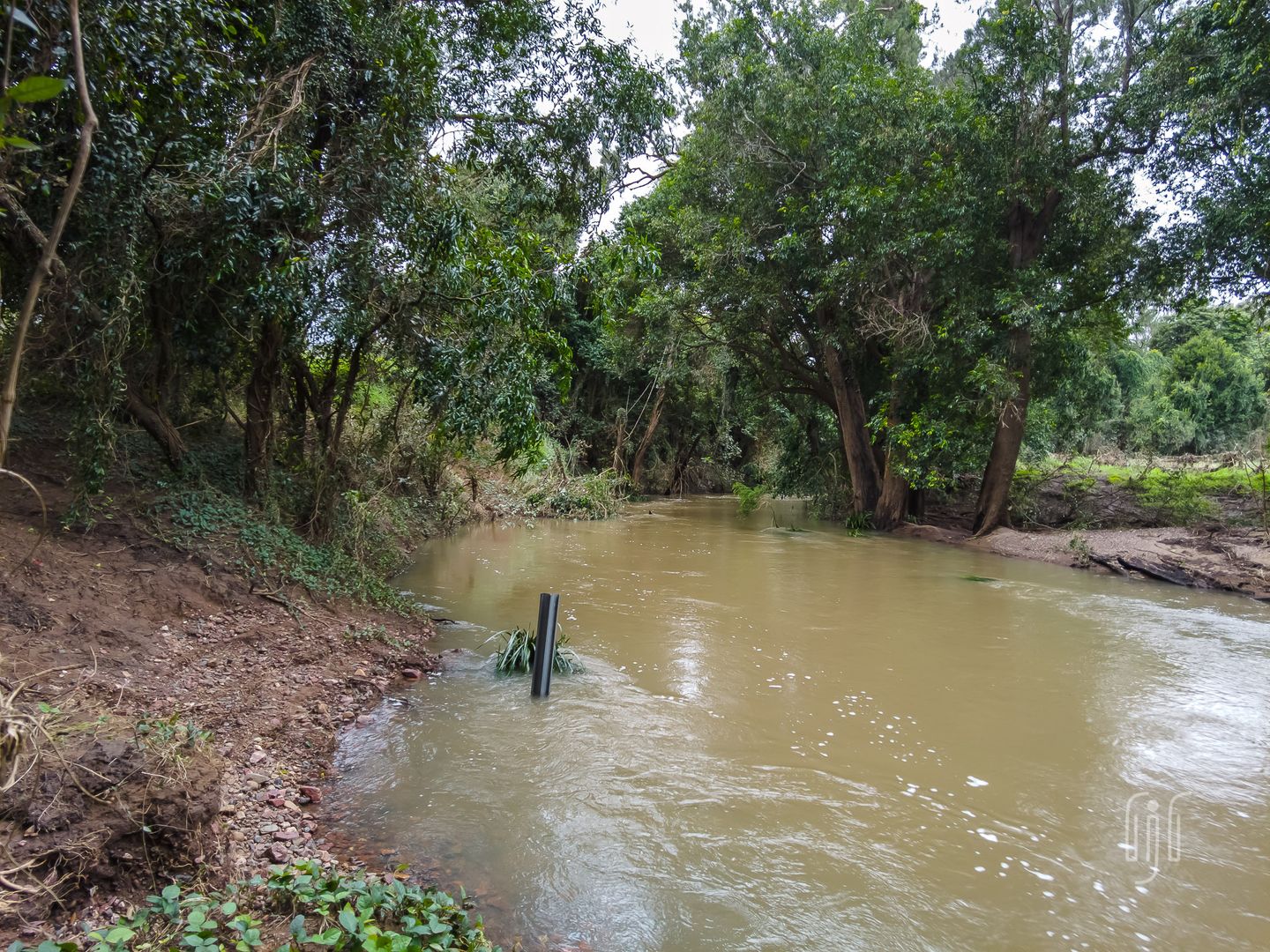 100 Blackgate Road, Amamoor QLD 4570 Vacant Land for Sale Domain