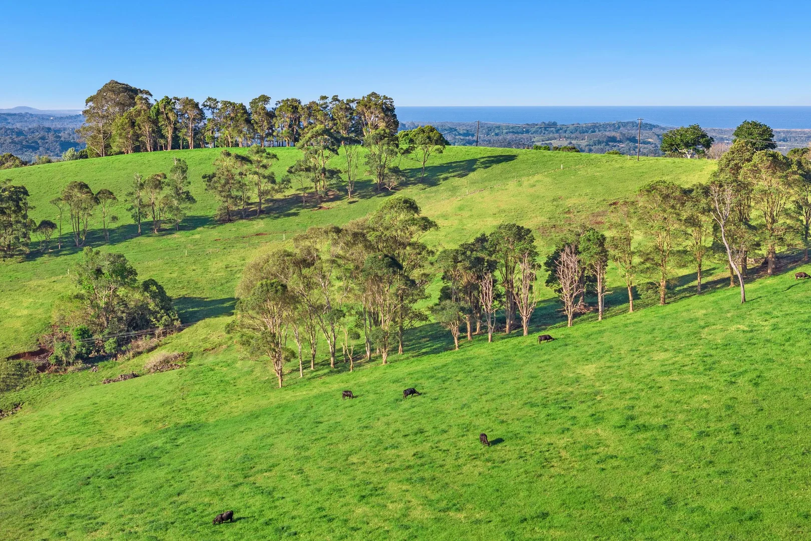 Additional image 12 of 457 Coolamon Scenic Drive, Coorabell NSW 2479