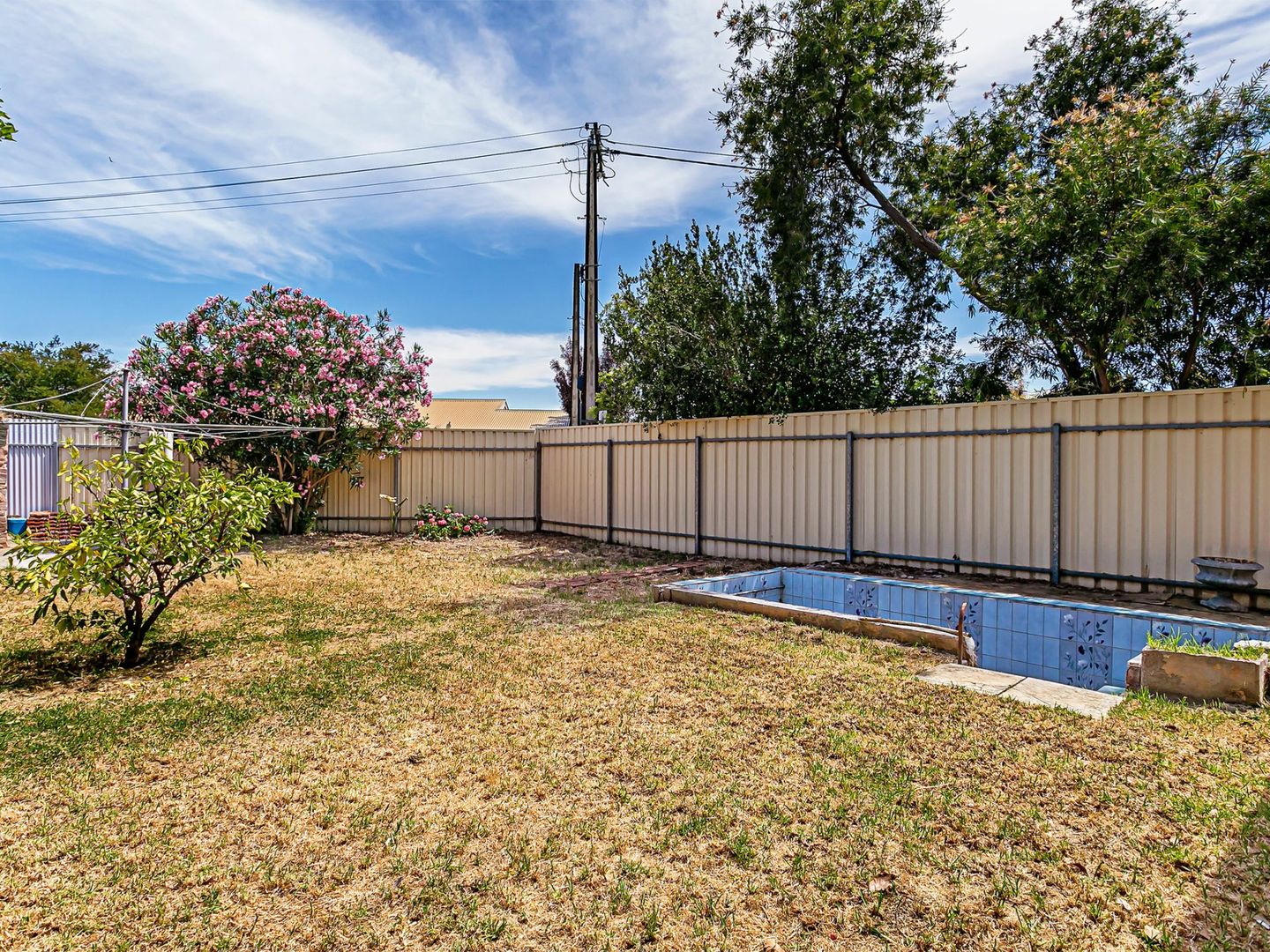 88 Highbury Street, Prospect SA 5082, Image 2