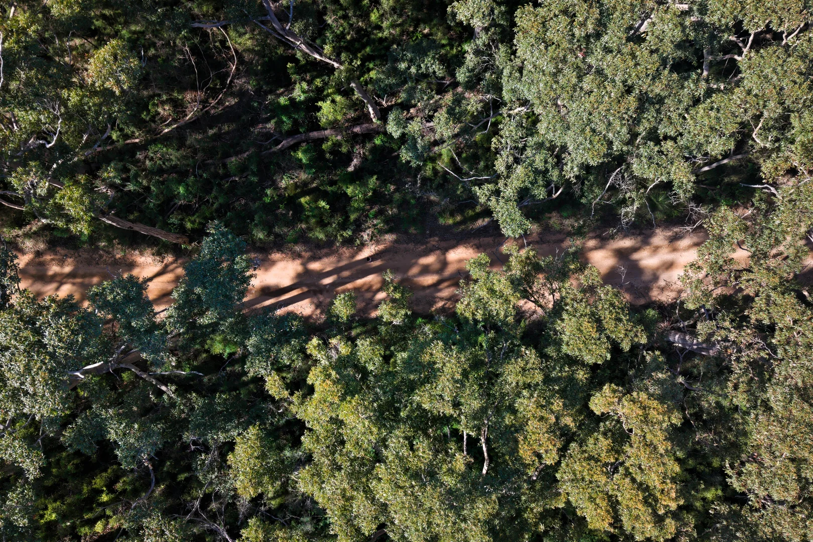 Additional image 3 of Lot 209/36 Tallwood Loop, Witchcliffe WA 6286