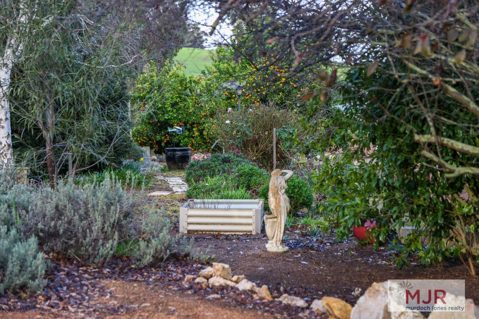 Image 15