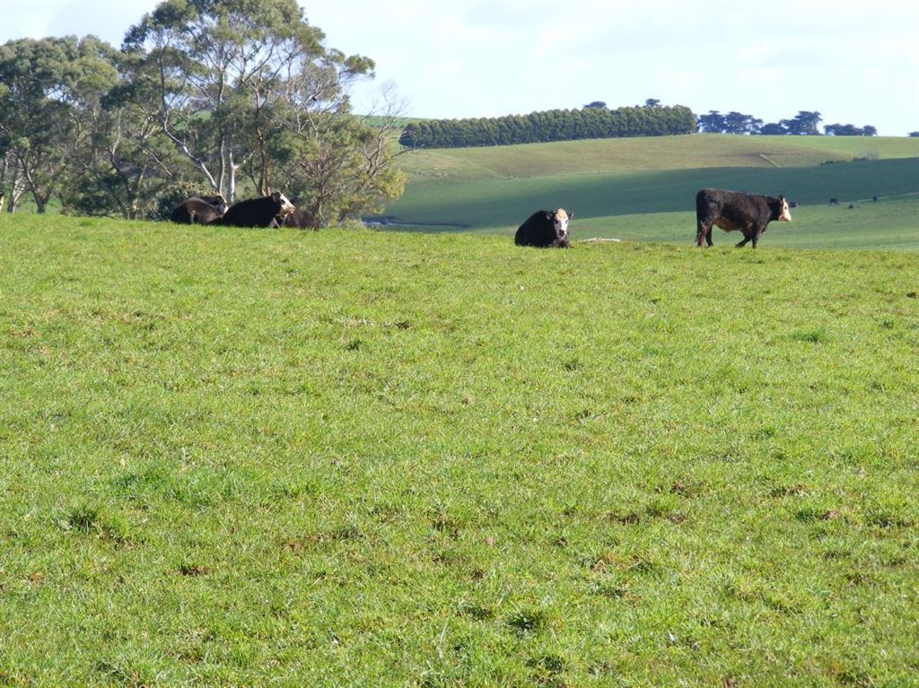 17298 Bass Highway, Boat Harbour TAS 7321, Image 1