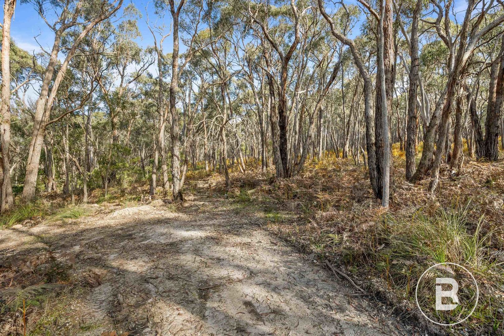 47 Lemajics Street, Scarsdale VIC 3351 Vacant Land for Sale