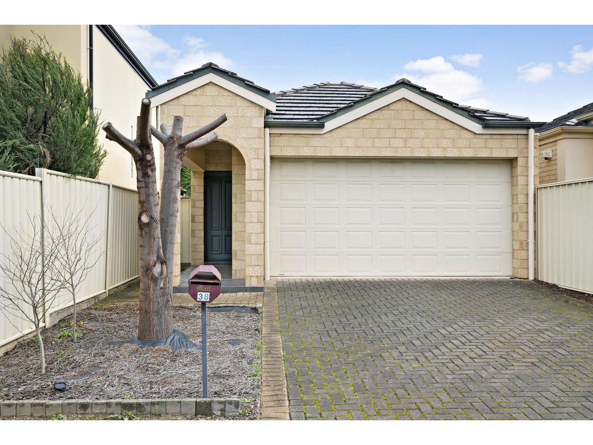 38 Hill Street, Campbelltown SA 5074, Image 0