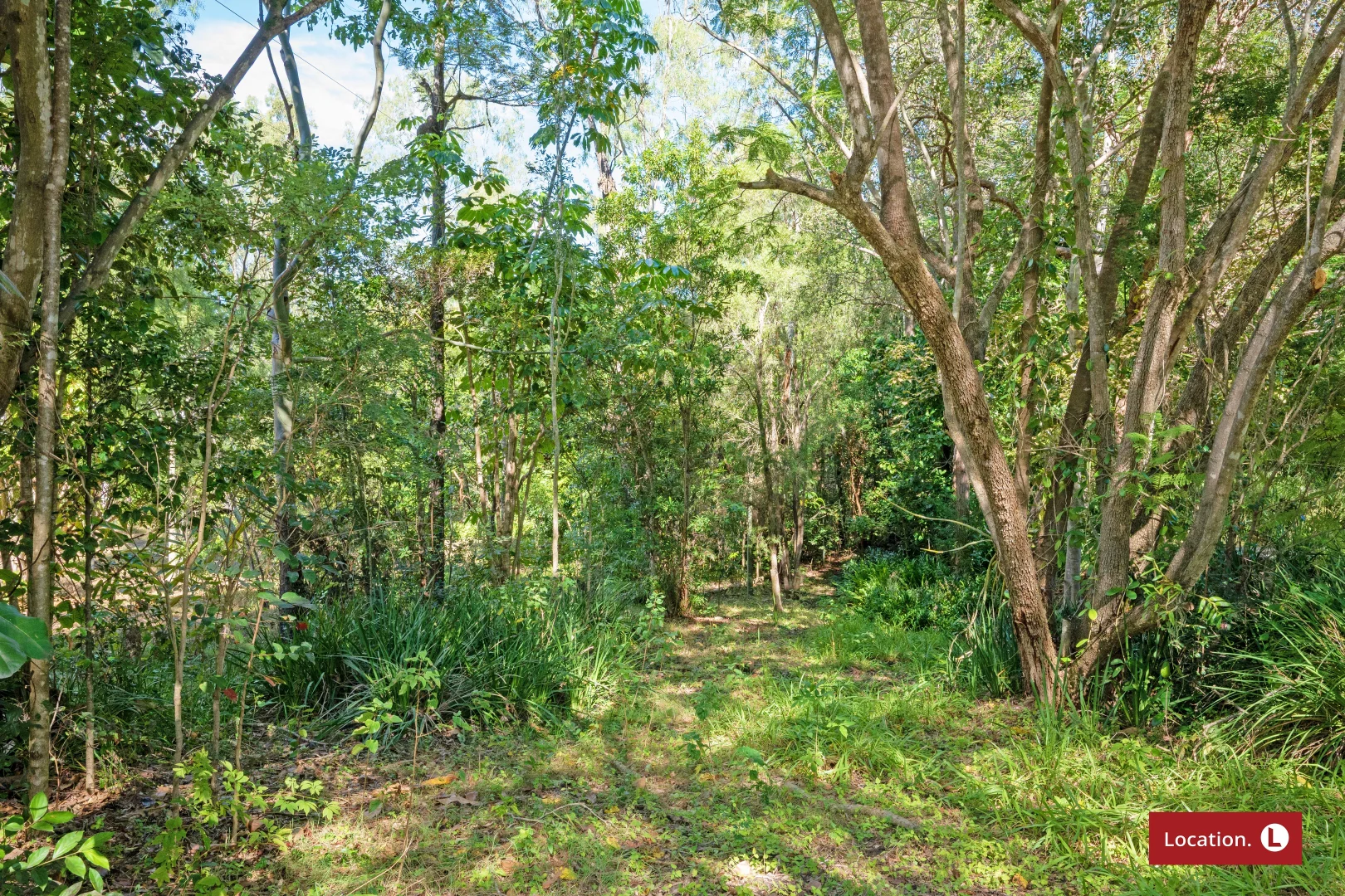Image 31