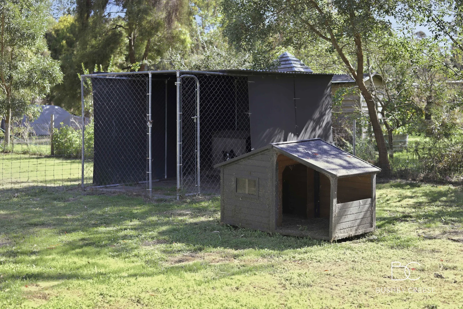 Image 21