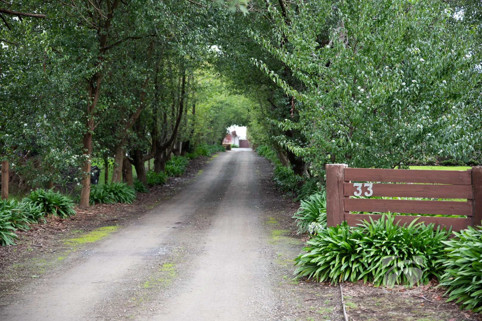 Image 25