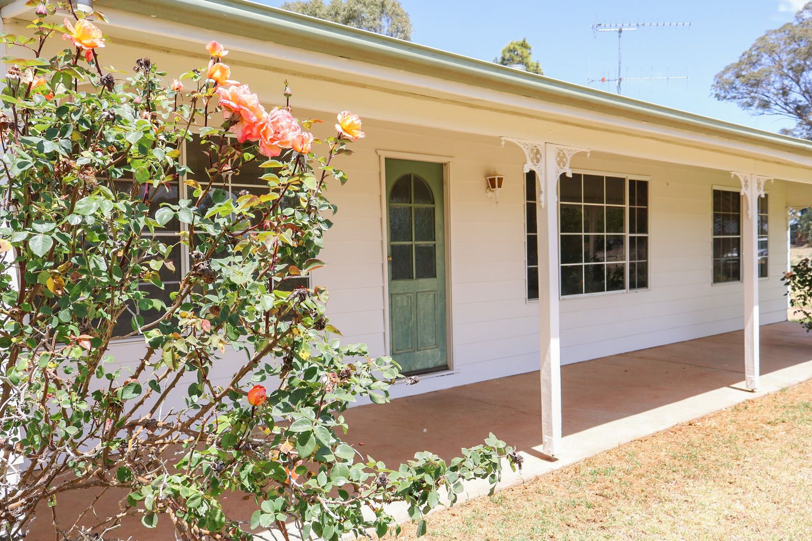 Slaughter Yards Road, Gulgong NSW 2852, Image 1