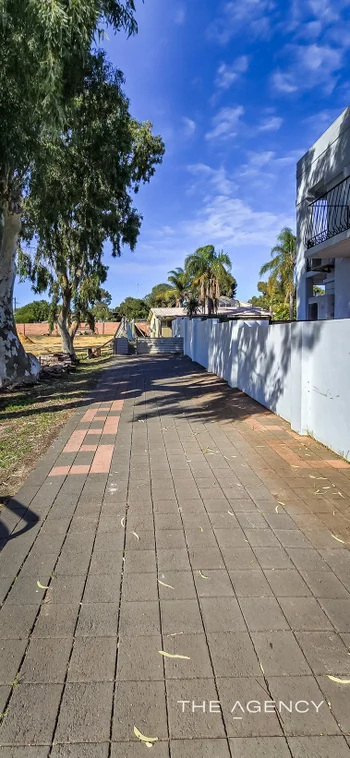 Image 13