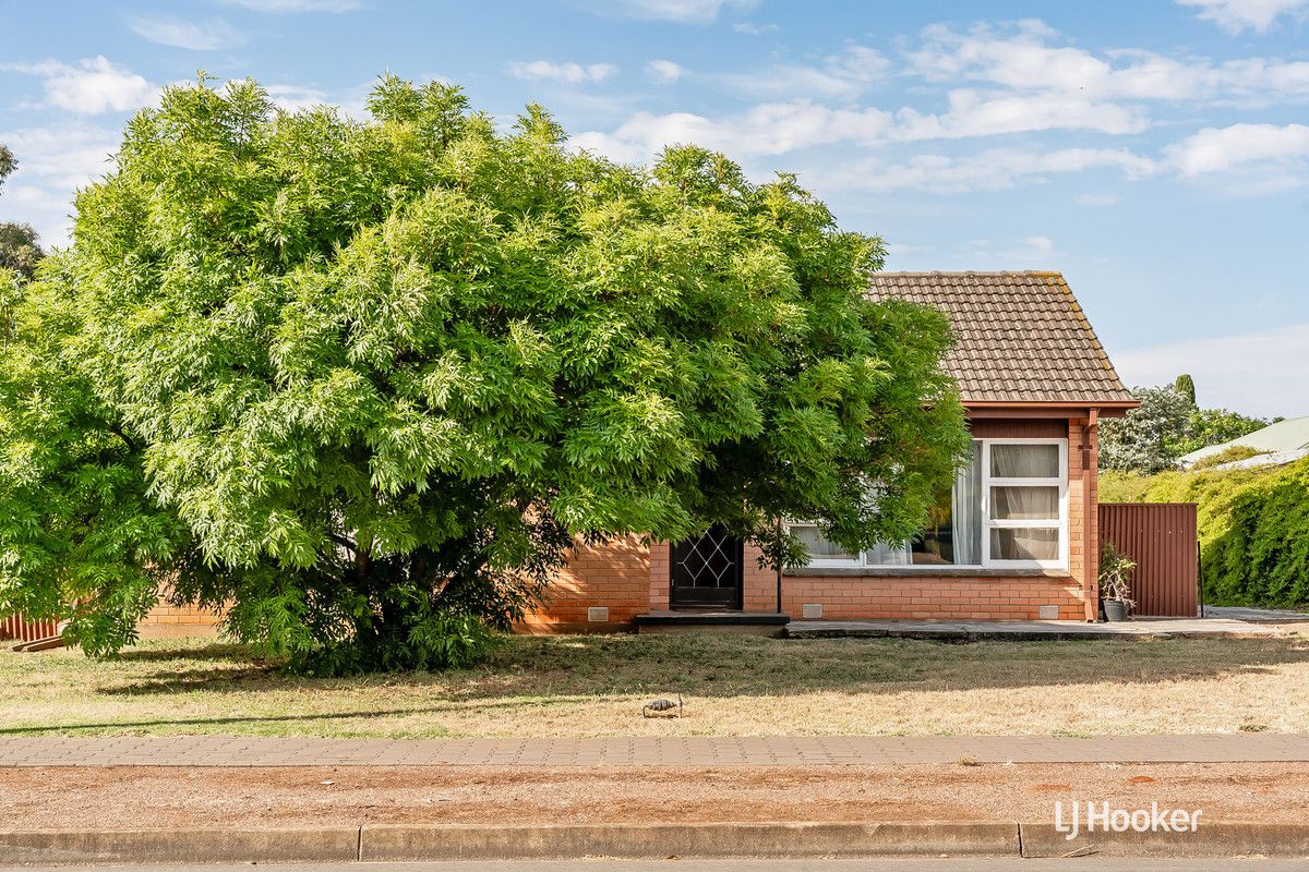 12 Crabb Road, Smithfield Plains SA 5114, Image 1