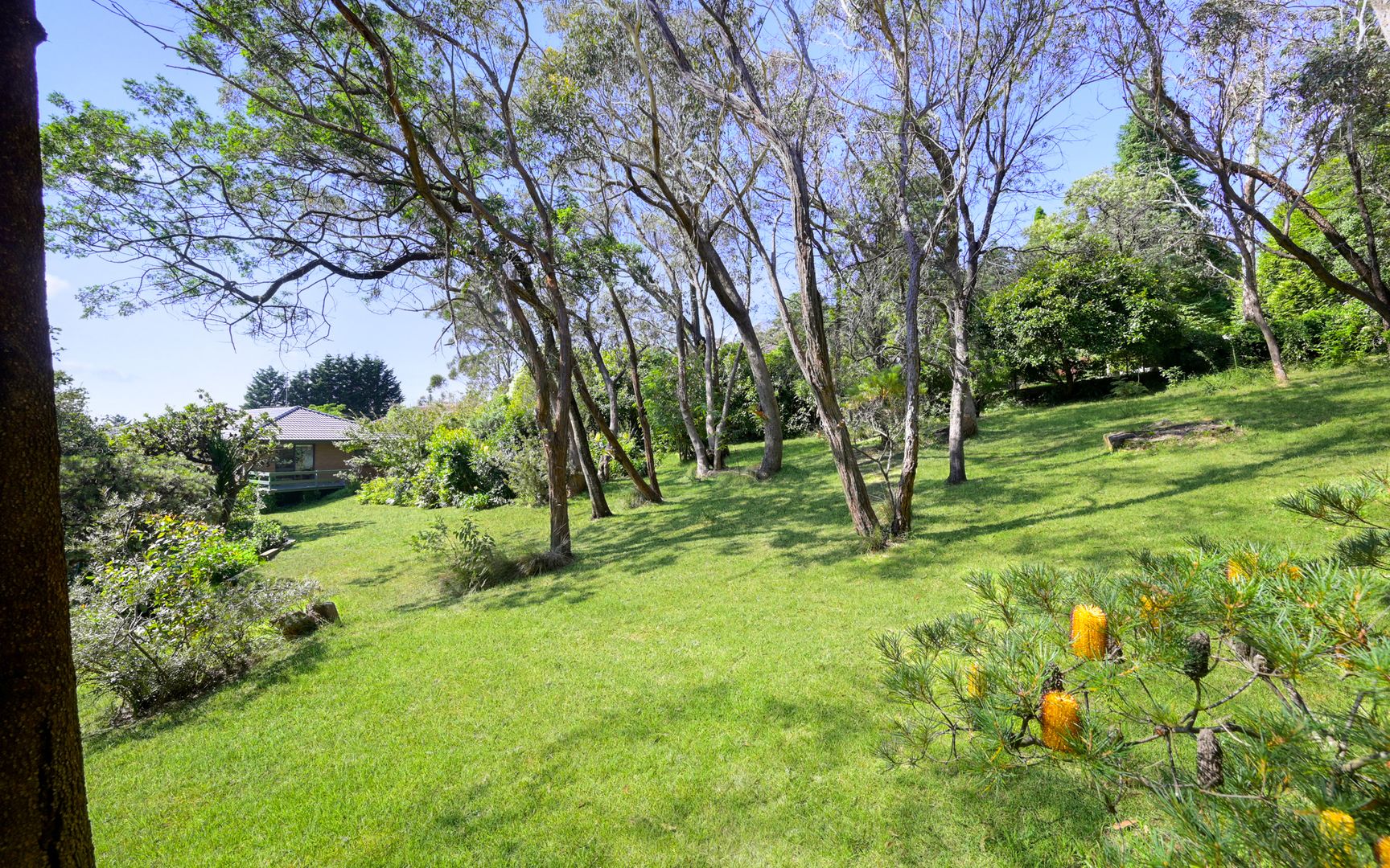 30 Panorama Crescent, Wentworth Falls NSW 2782, Image 2