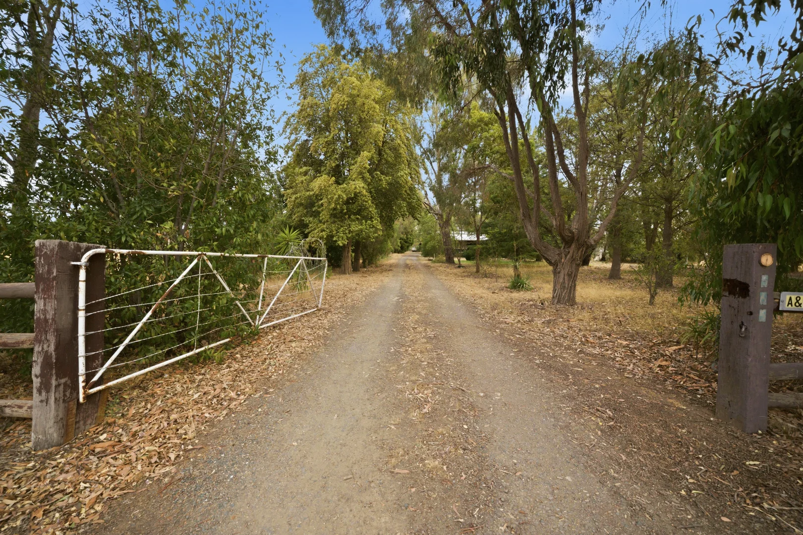 Image 20