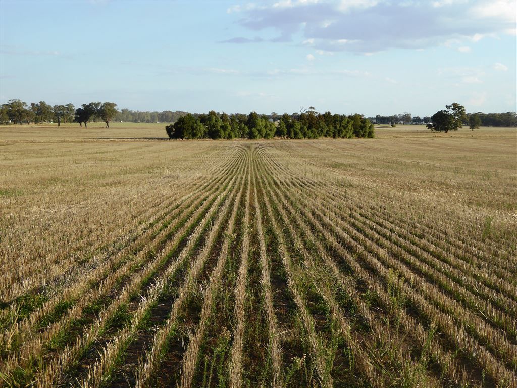 57 Nulla Nulla Road, Corowa NSW 2646, Image 2