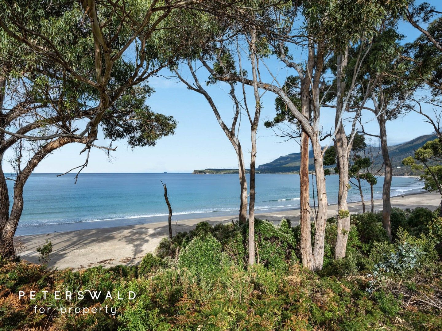 393 Pirates Bay Drive, Eaglehawk Neck TAS 7179, Image 0