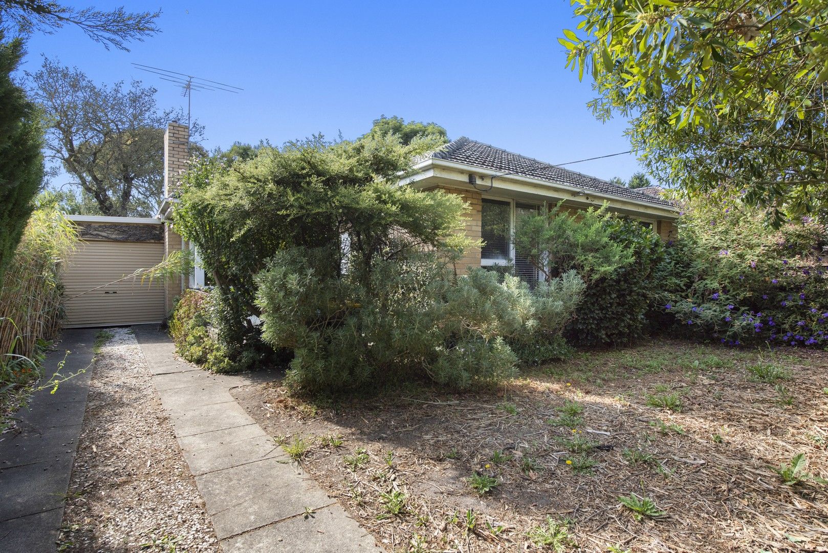 133 Mahoneys Road, Forest Hill VIC 3131 House For Rent 610 Domain
