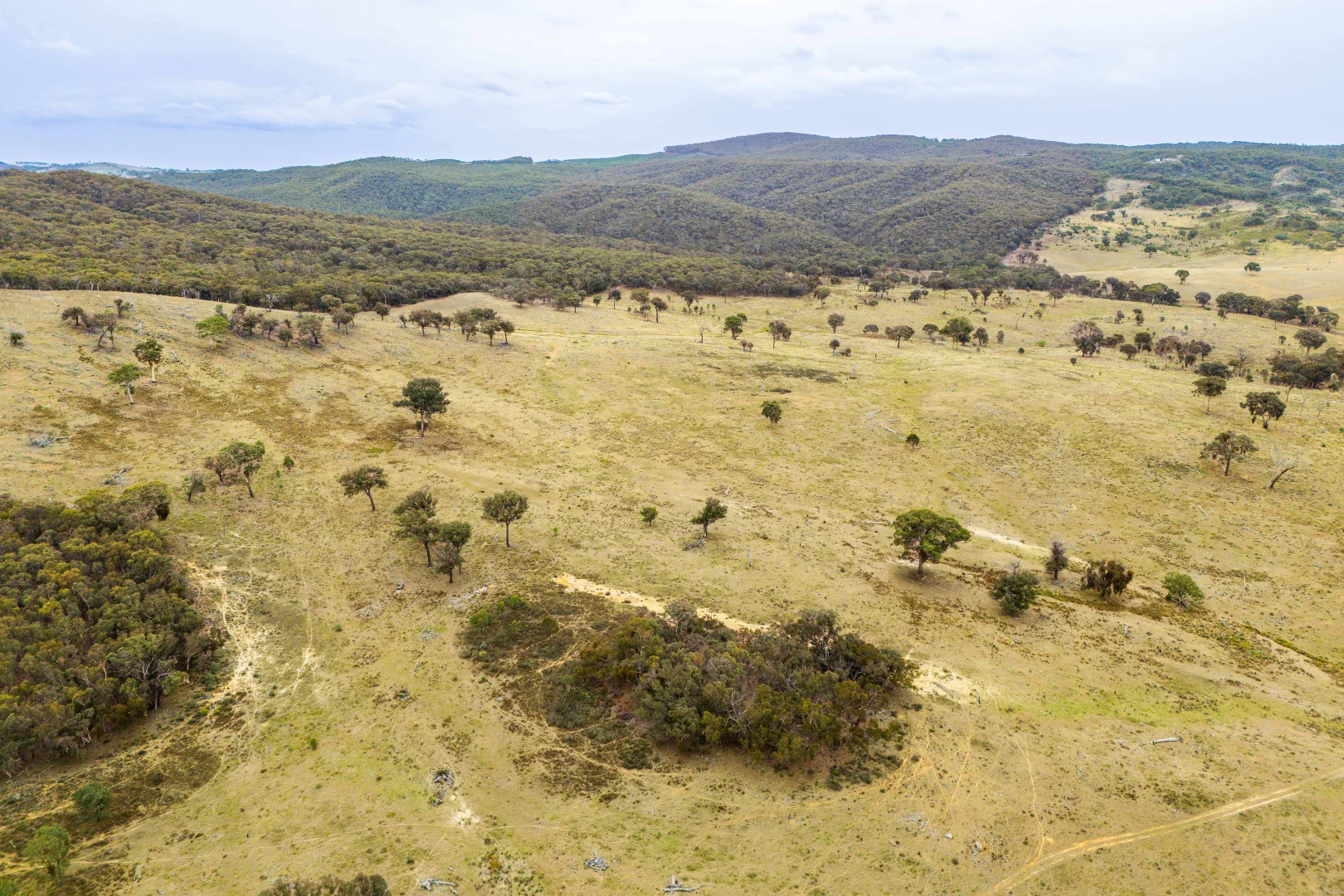 Additional image 42 of 678 Dry Creek Road, Lewis Ponds NSW 2800