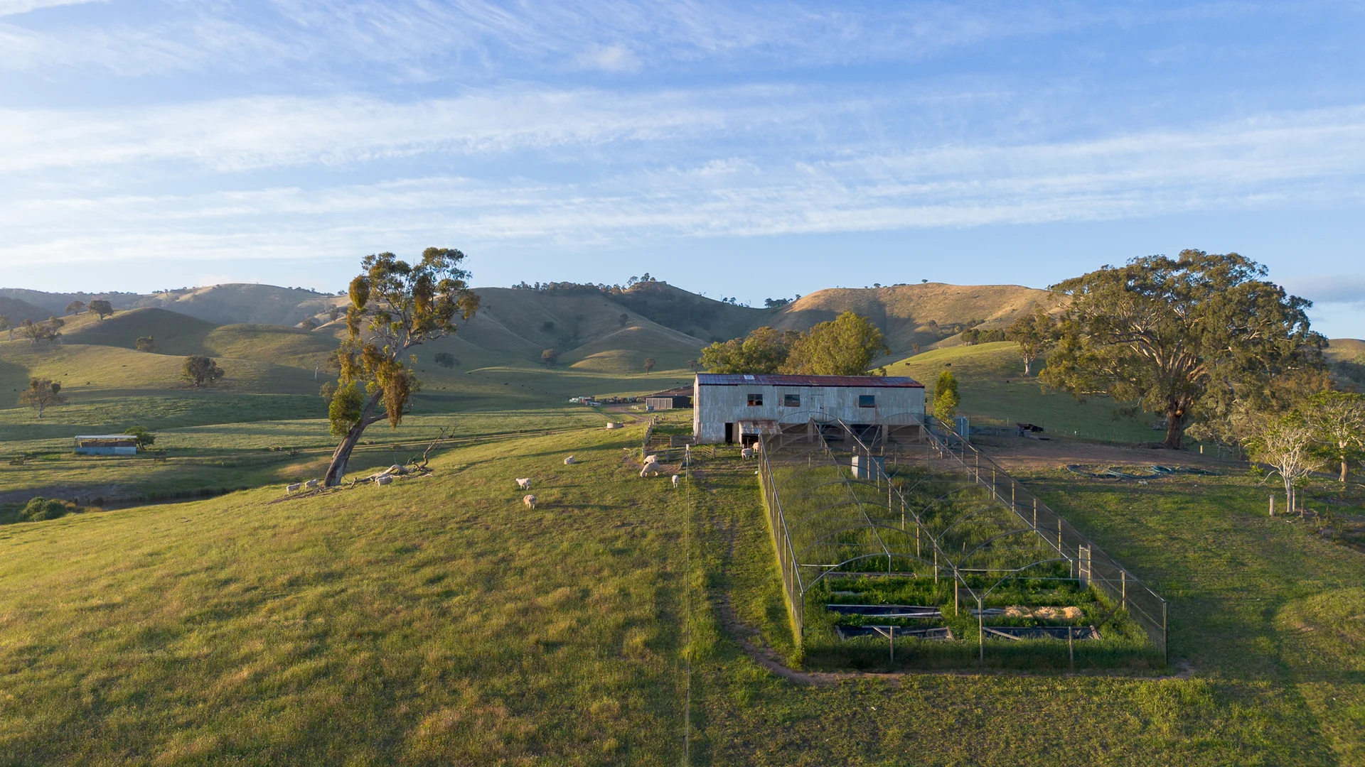 Additional image 34 of 1599 Whanregarwen Road, Molesworth VIC 3718