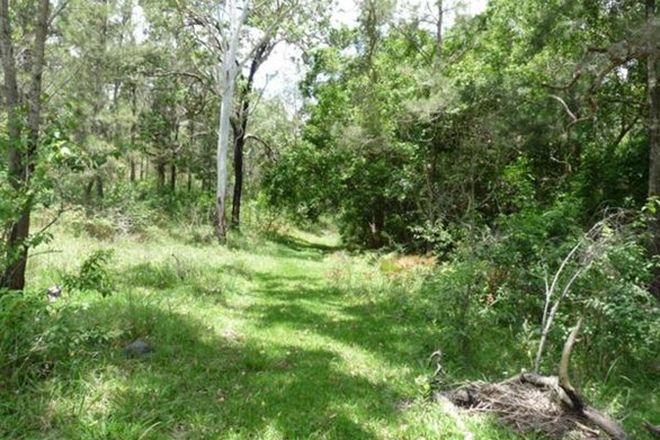 Picture of AMAMOOR CREEK QLD 4570