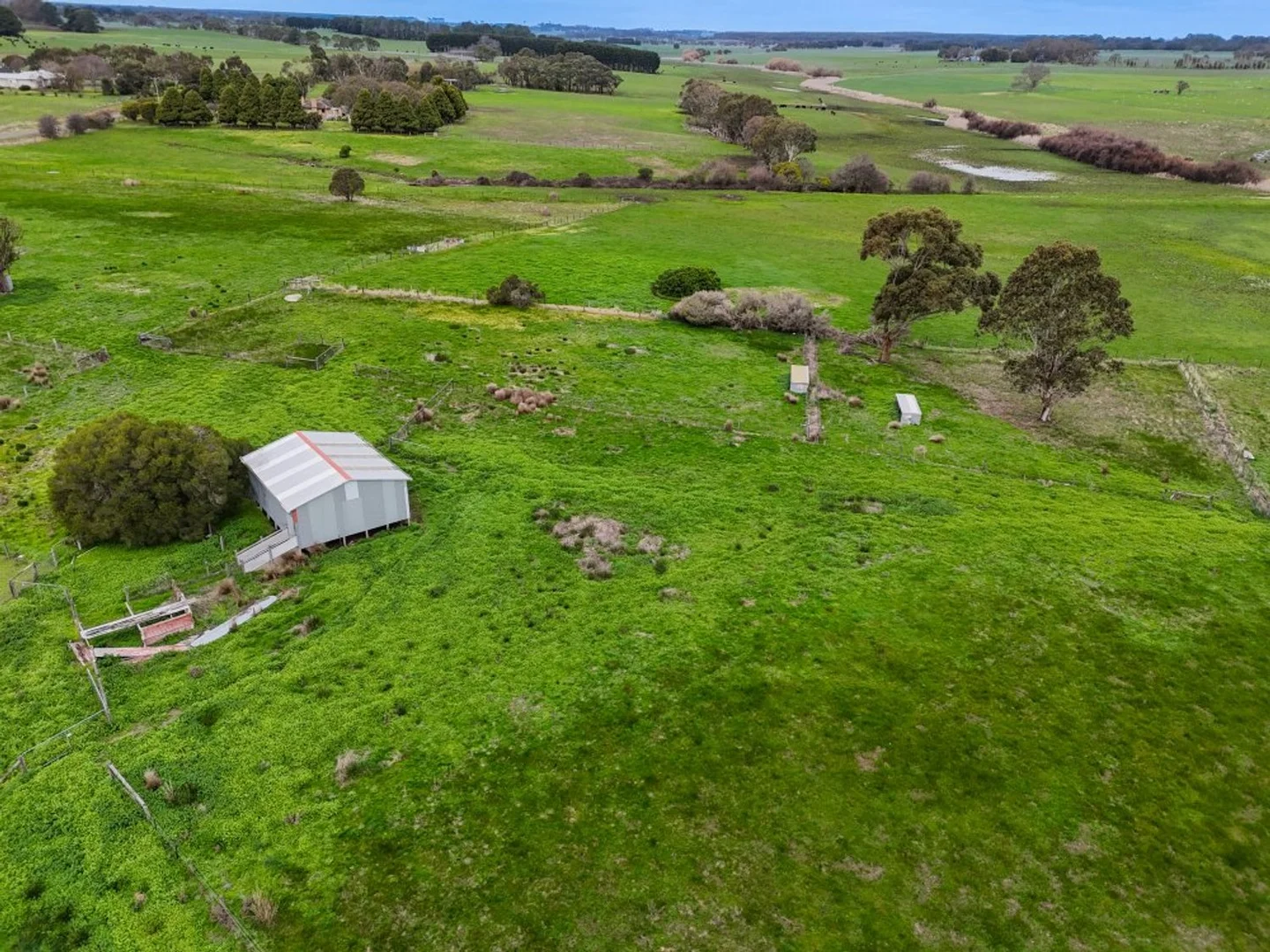 Image 15