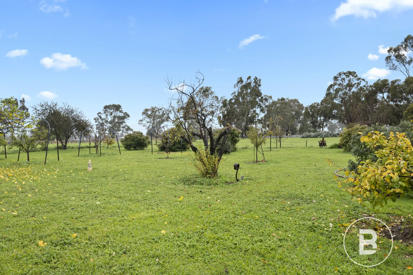 Image 15
