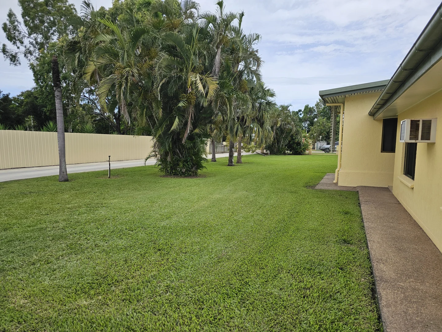 Image 38