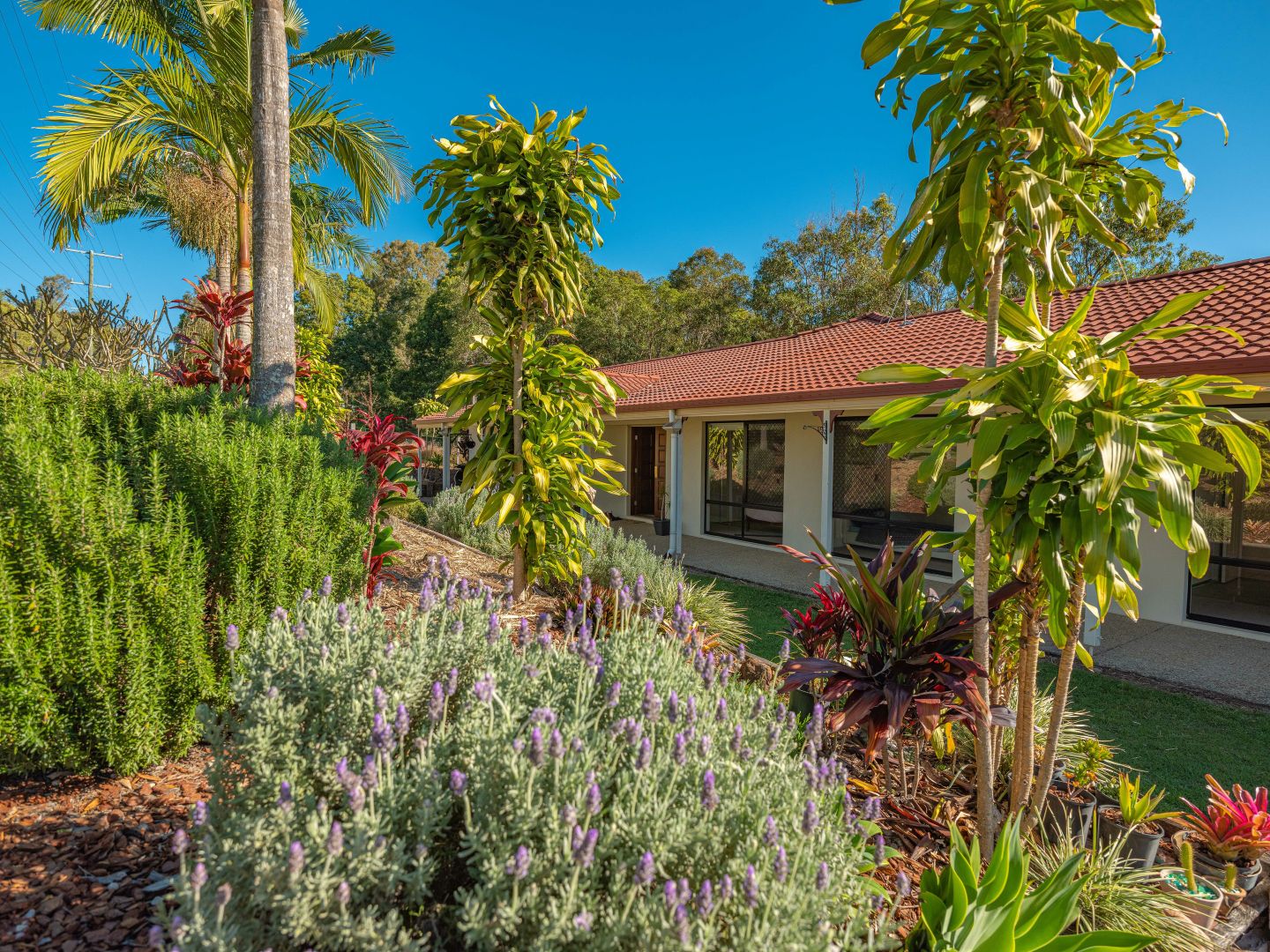 32 Holding Rd, The Dawn QLD 4570, Image 1