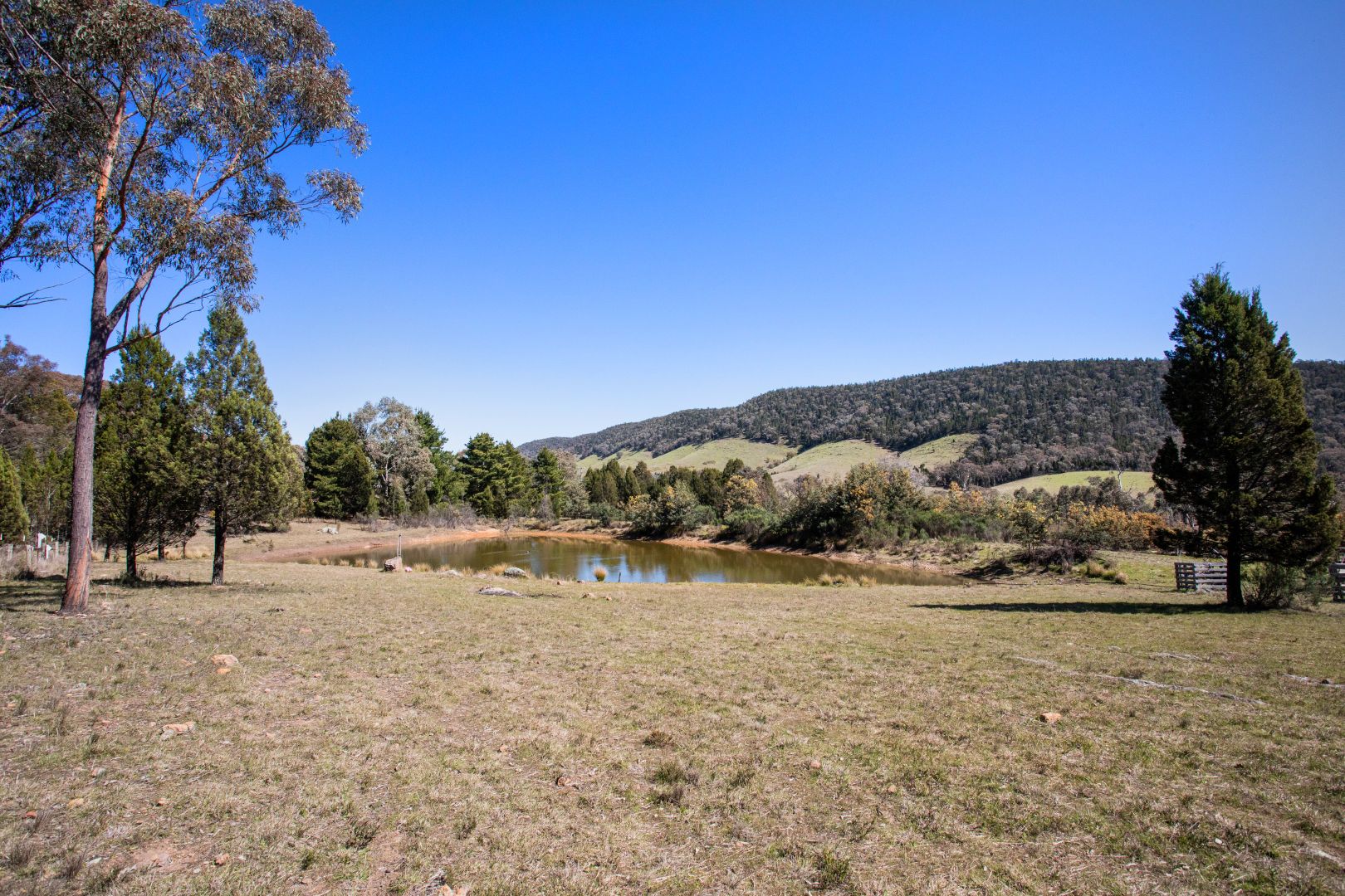 1761 Kangarooby Road, Gooloogong NSW 2805, Image 1