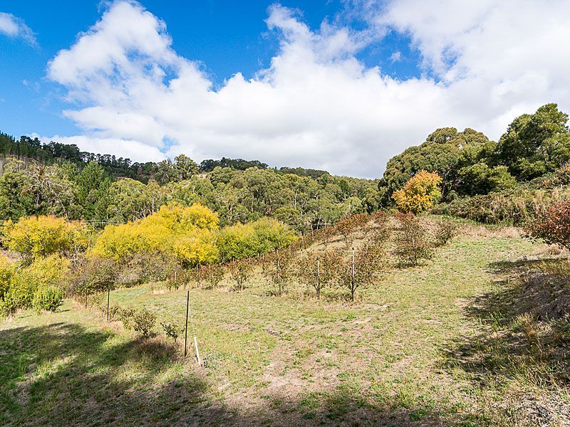 L60 Lobethal Road, BASKET RANGE SA 5138, Image 1