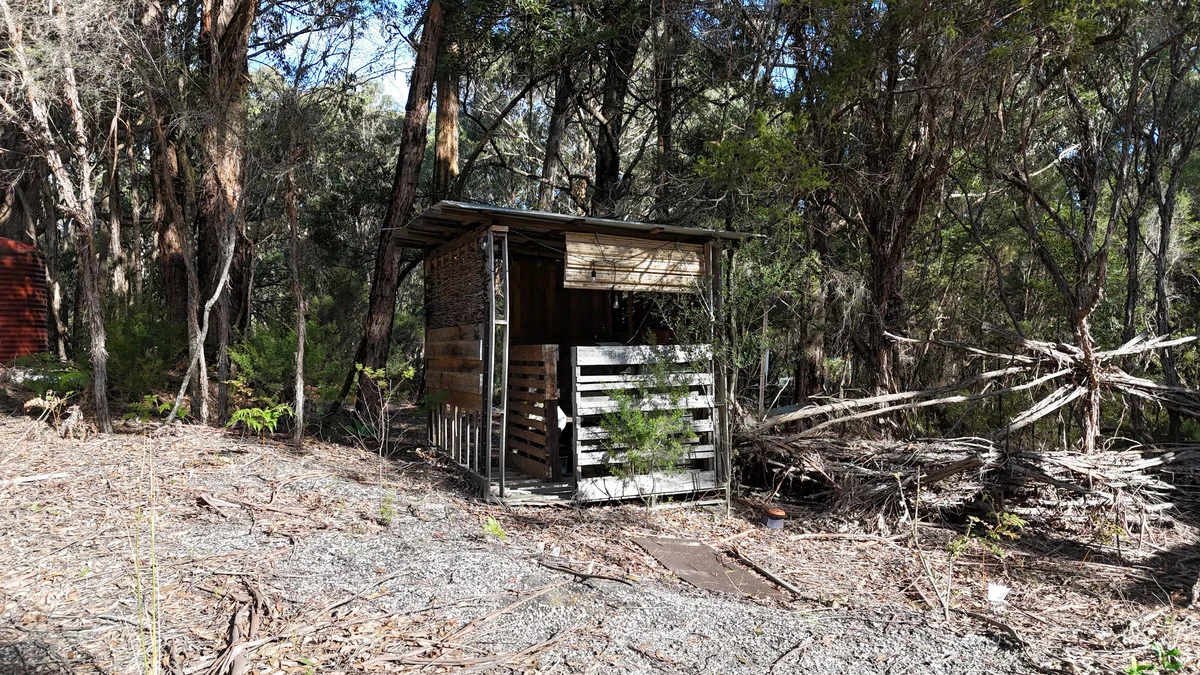 Image 14