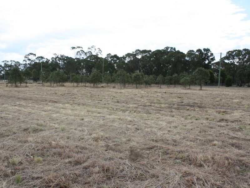 Lot 506 Barron Street, Hendon QLD 4362, Image 1