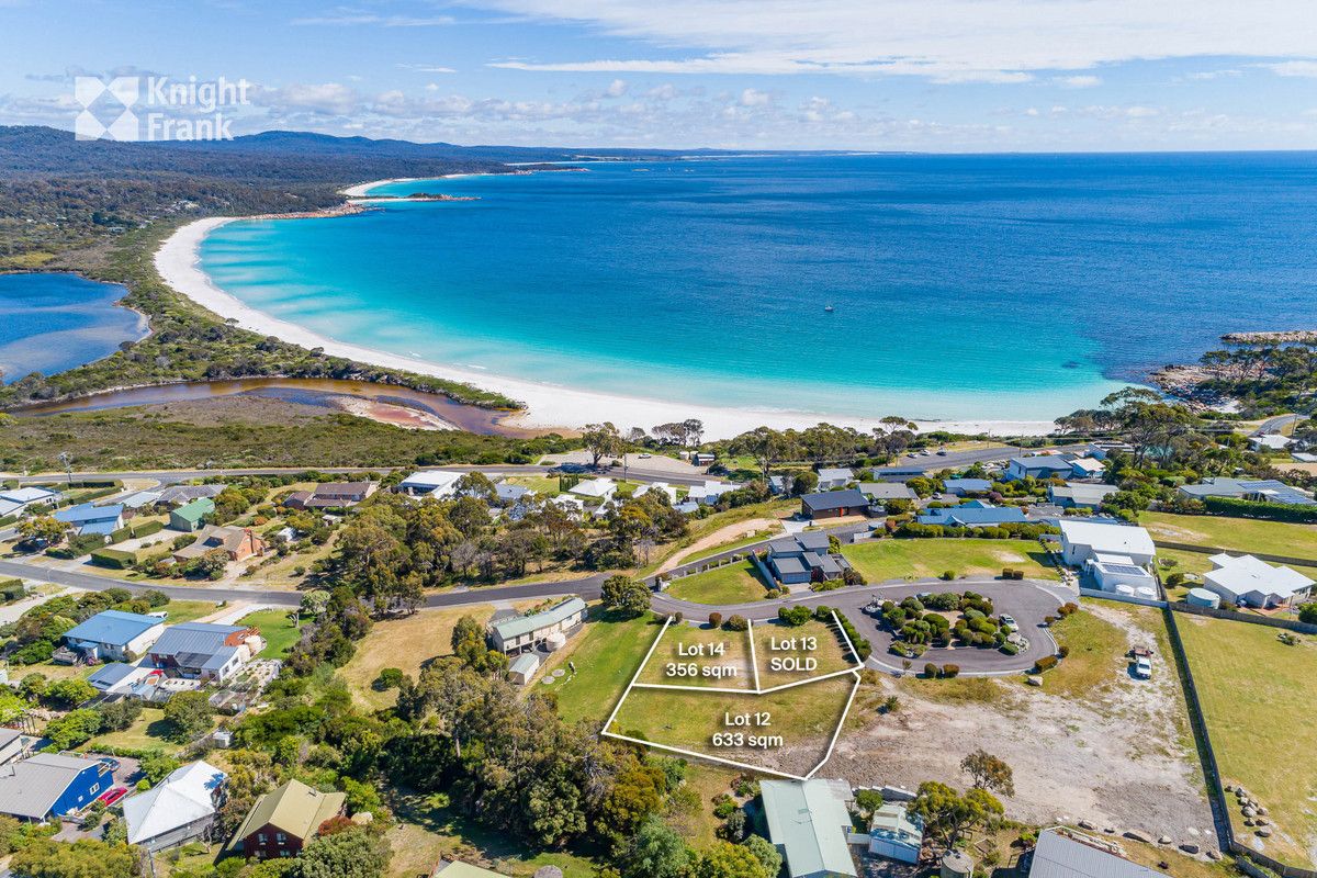 12 Wedge Court, Binalong Bay TAS 7216 Domain