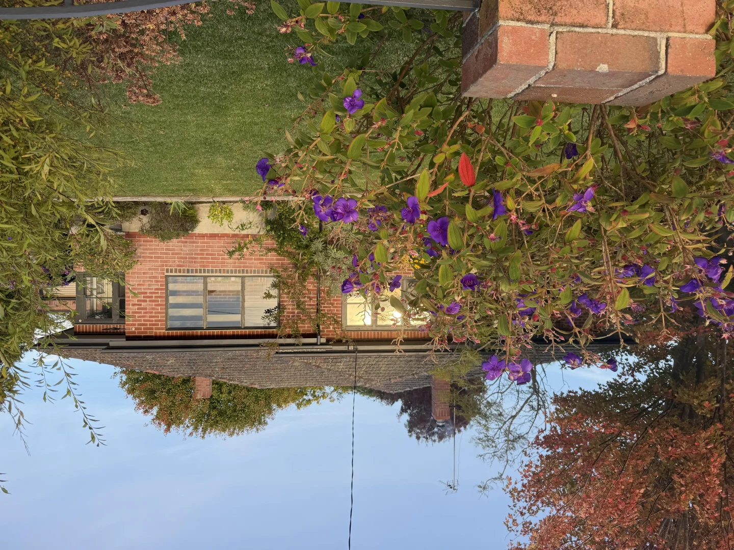Image 28