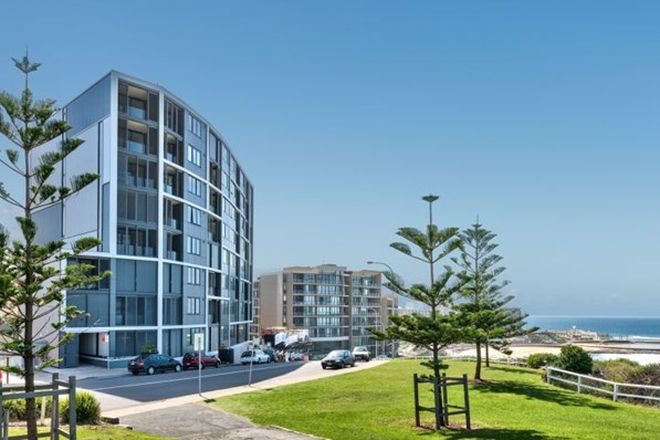 170 Rental Properties In Newcastle Nsw 2300 Domain