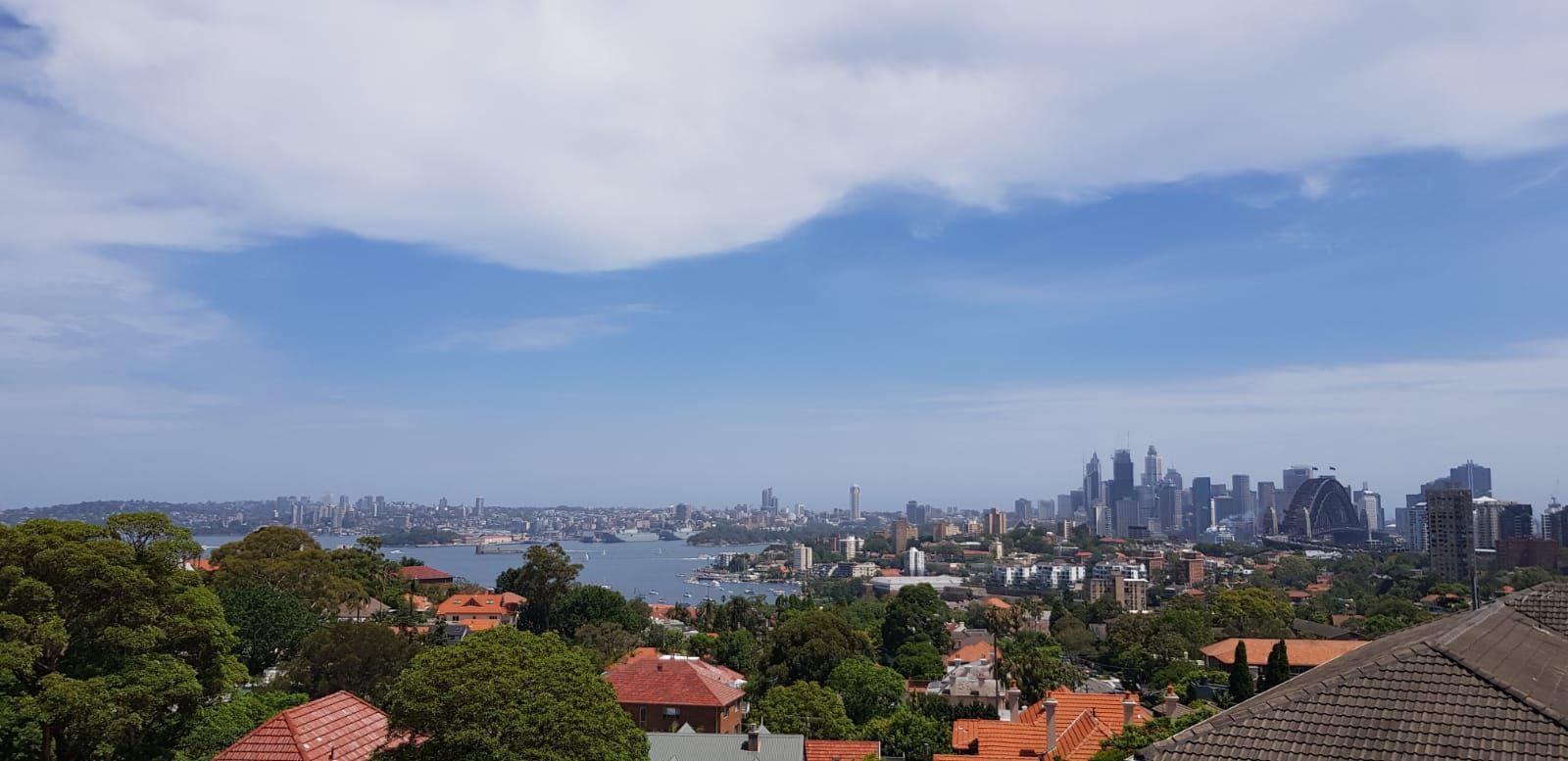 1 bedrooms Apartment / Unit / Flat in 2X/100 Ben Boyd Road NEUTRAL BAY NSW, 2089