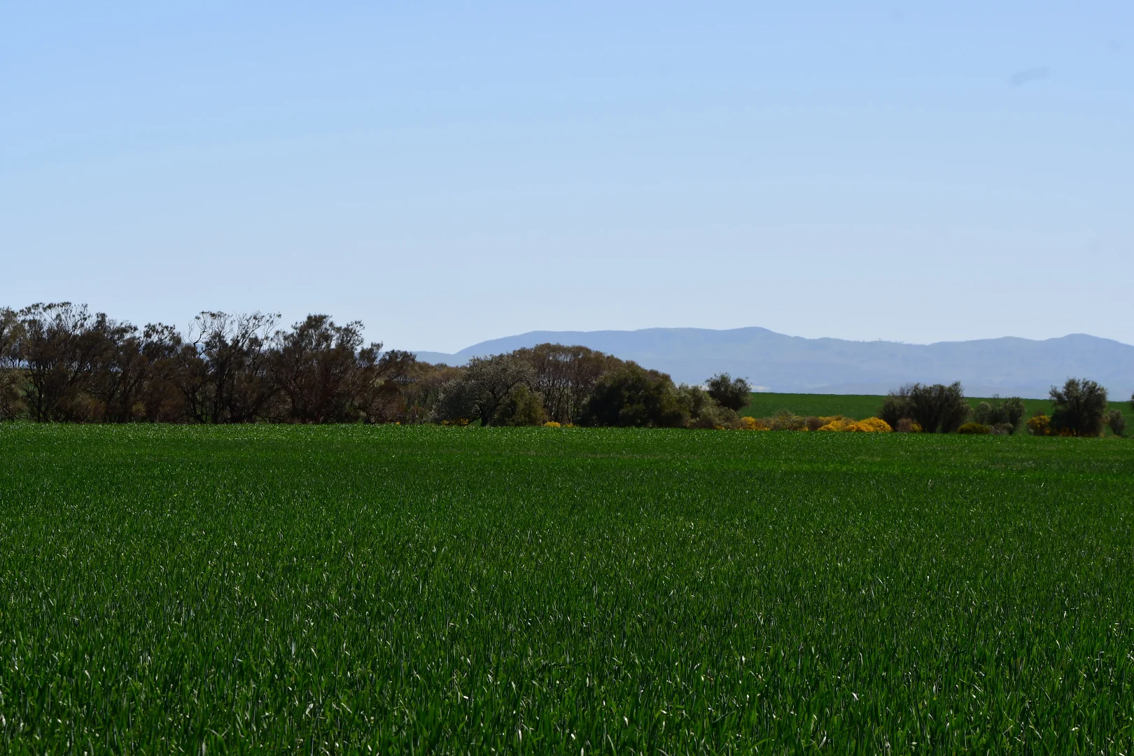 Image 6