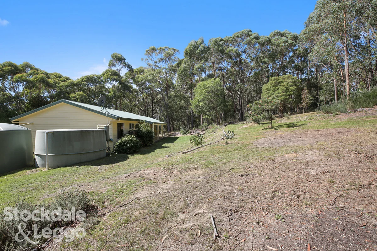 Additional image 20 of 11 Gilfedder Terrace, Mirboo North VIC 3871