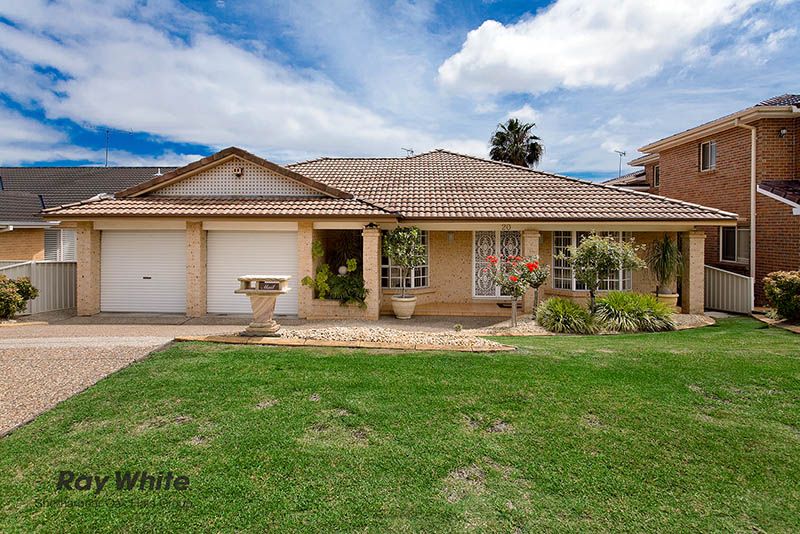 20 Bandicoot Drive, BLACKBUTT NSW 2529, Image 0