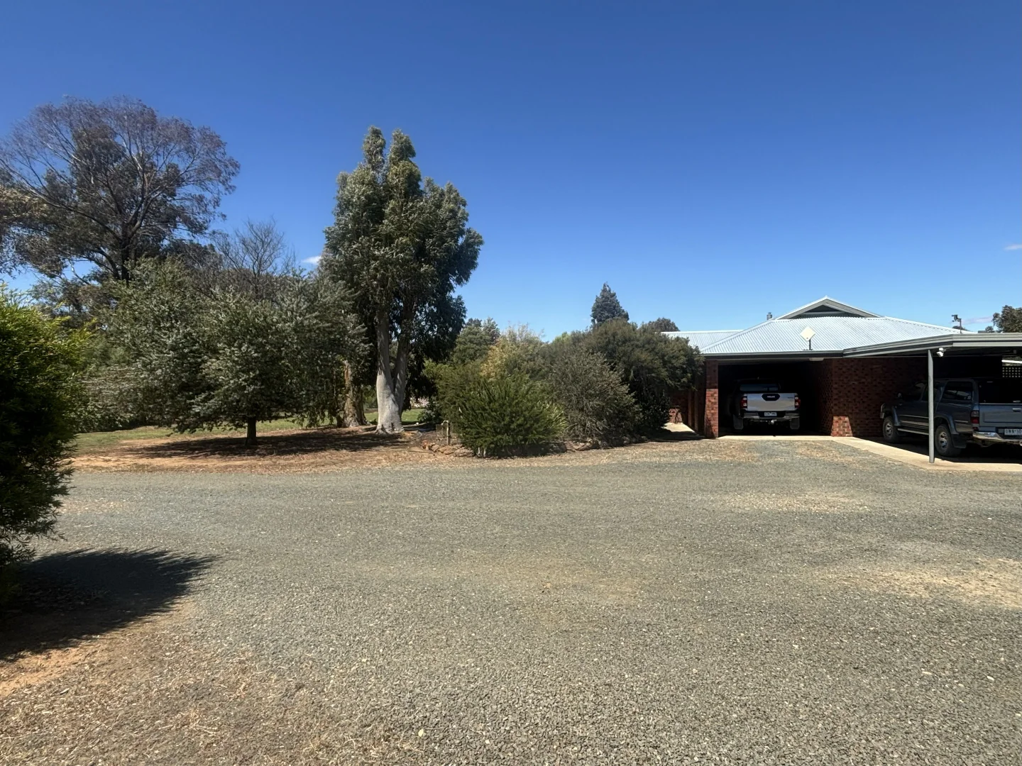 Image 31