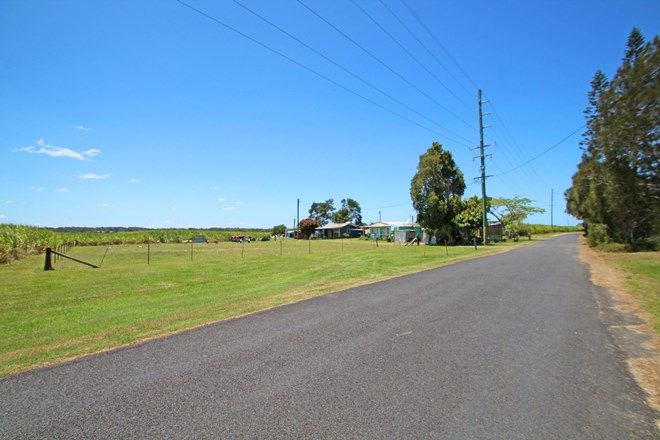 Picture of 293 Goodwood Island Road, GOODWOOD ISLAND NSW 2469